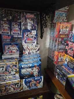 Sports Card Hobby Box Collection