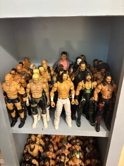 Huge Wrestling Action Figure Collection
