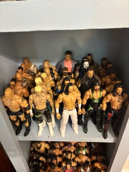 Huge Wrestling Action Figure Collection