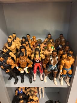 Huge Wrestling Action Figure Collection