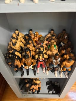 Huge Wrestling Action Figure Collection